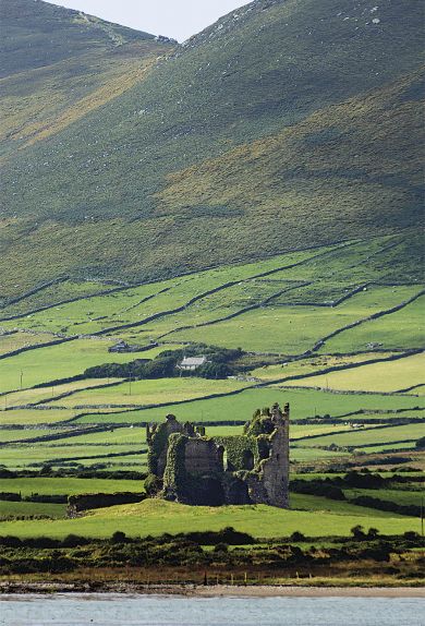 Ballycarbery East (OC-I417)