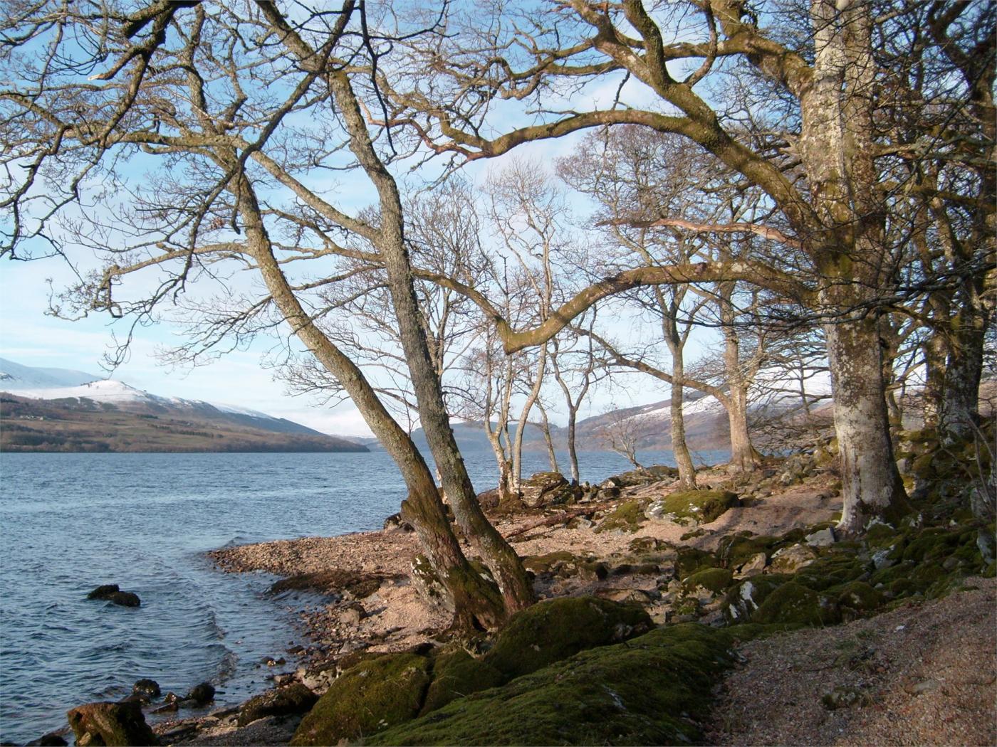 Property image 17 for HC76264