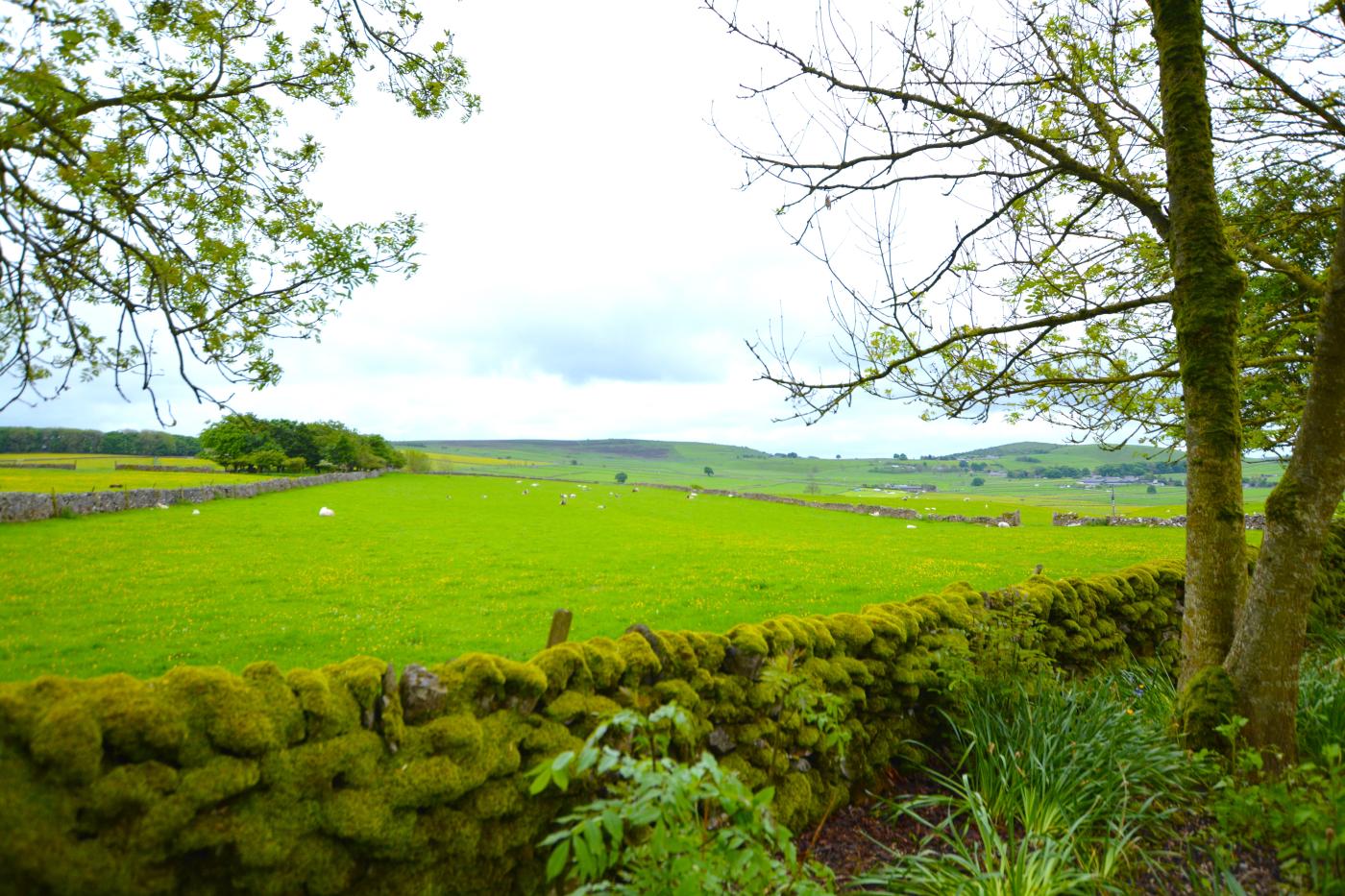 Property image 11 for HC279405