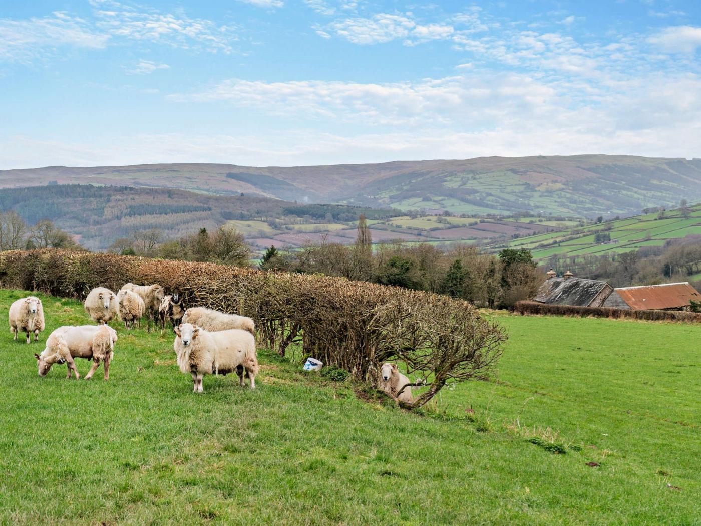 Property image 26 for HC7555