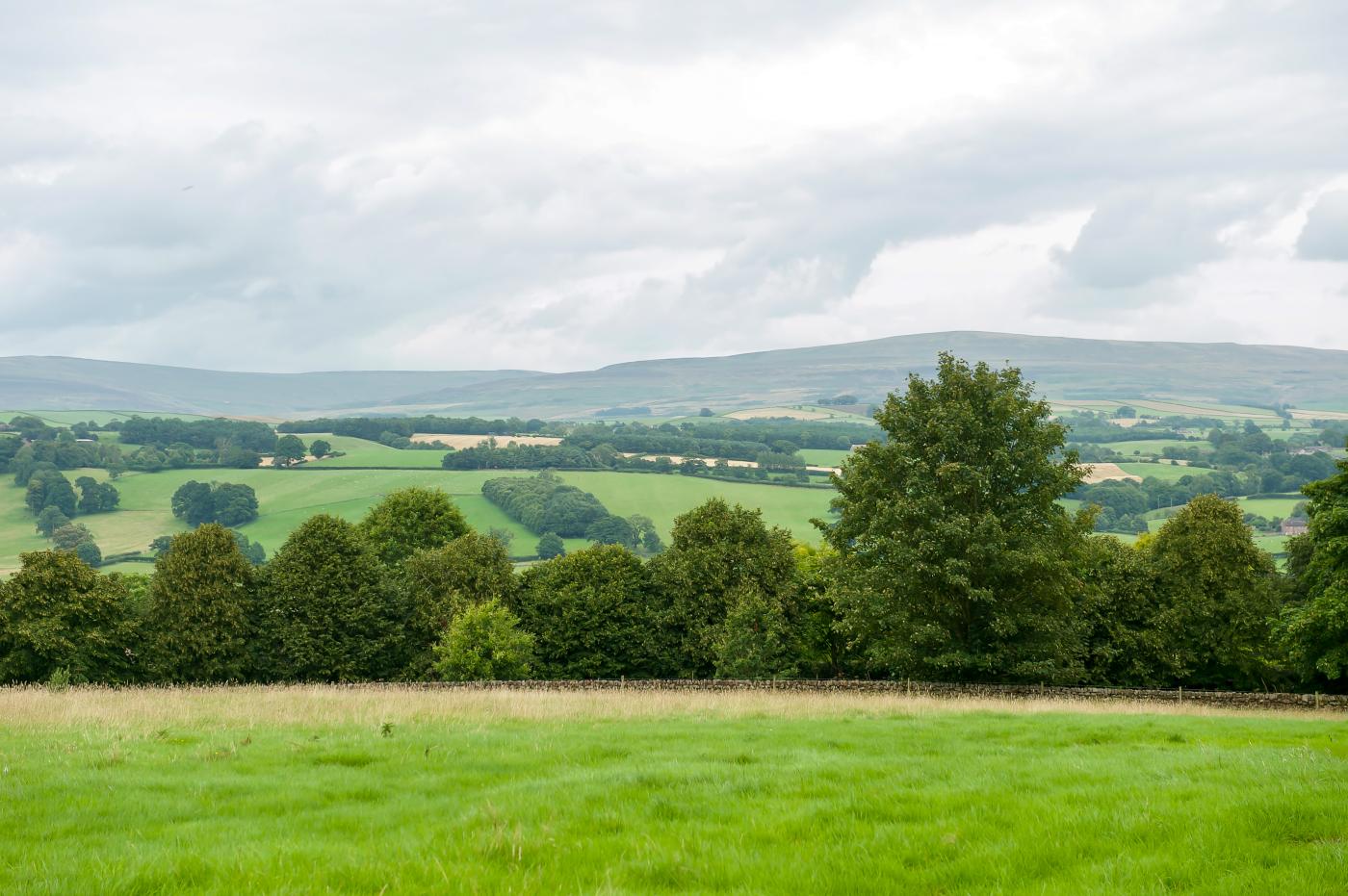 Property image 25 for HC292737
