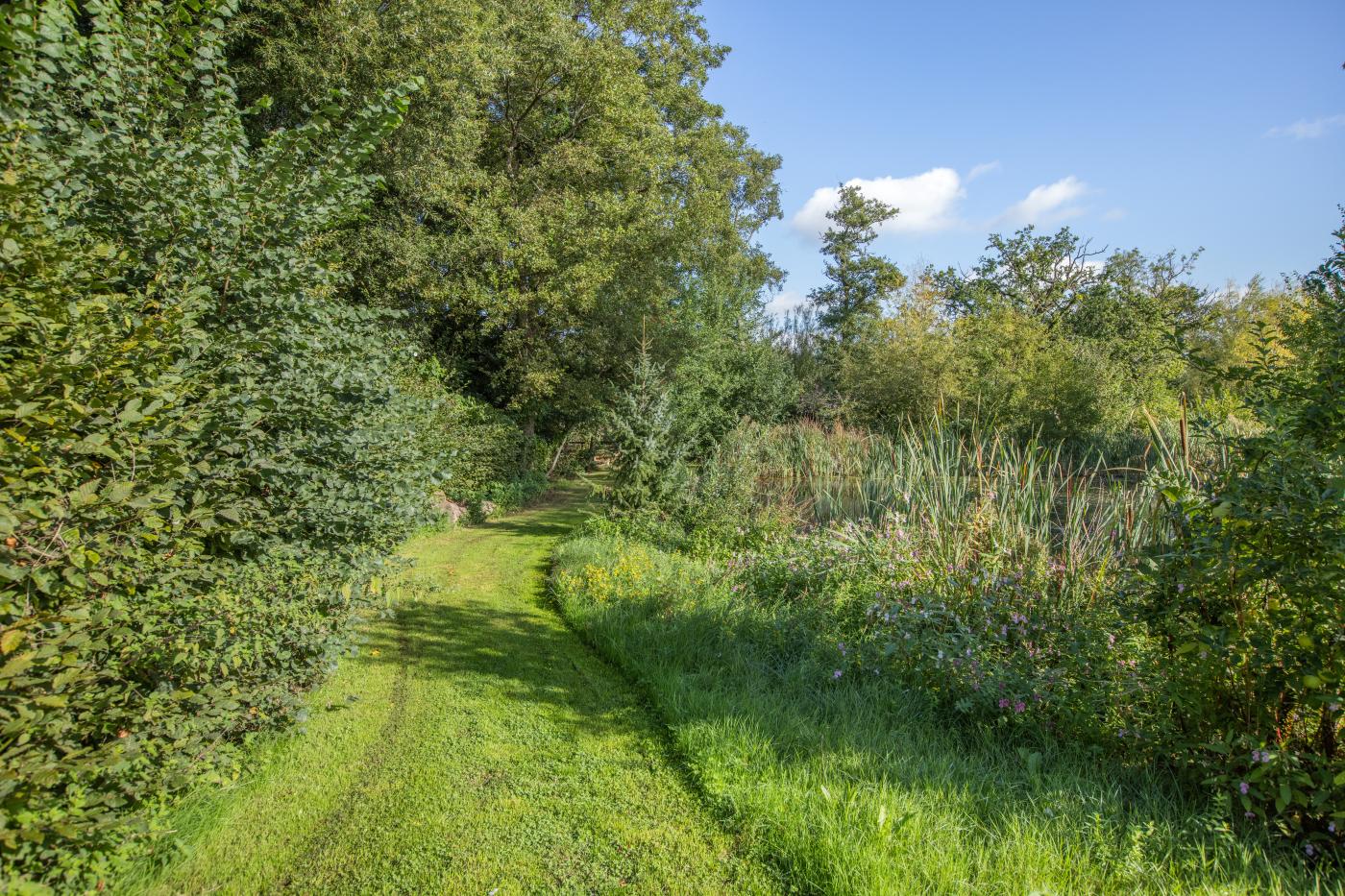 Property image 25 for HC296397