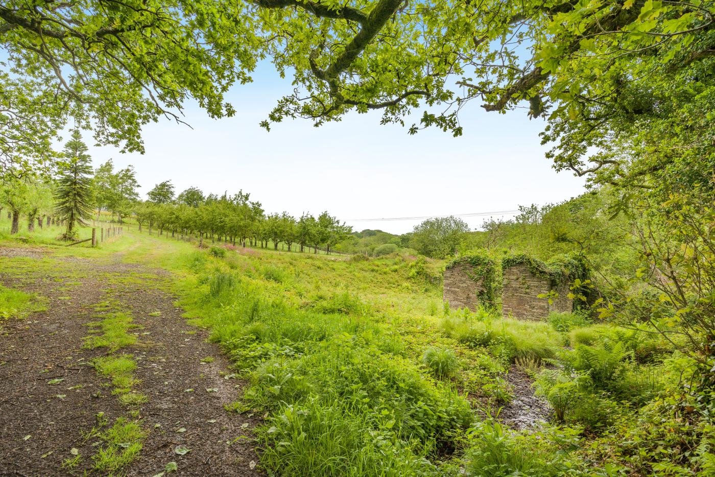 Property image 25 for HC292639