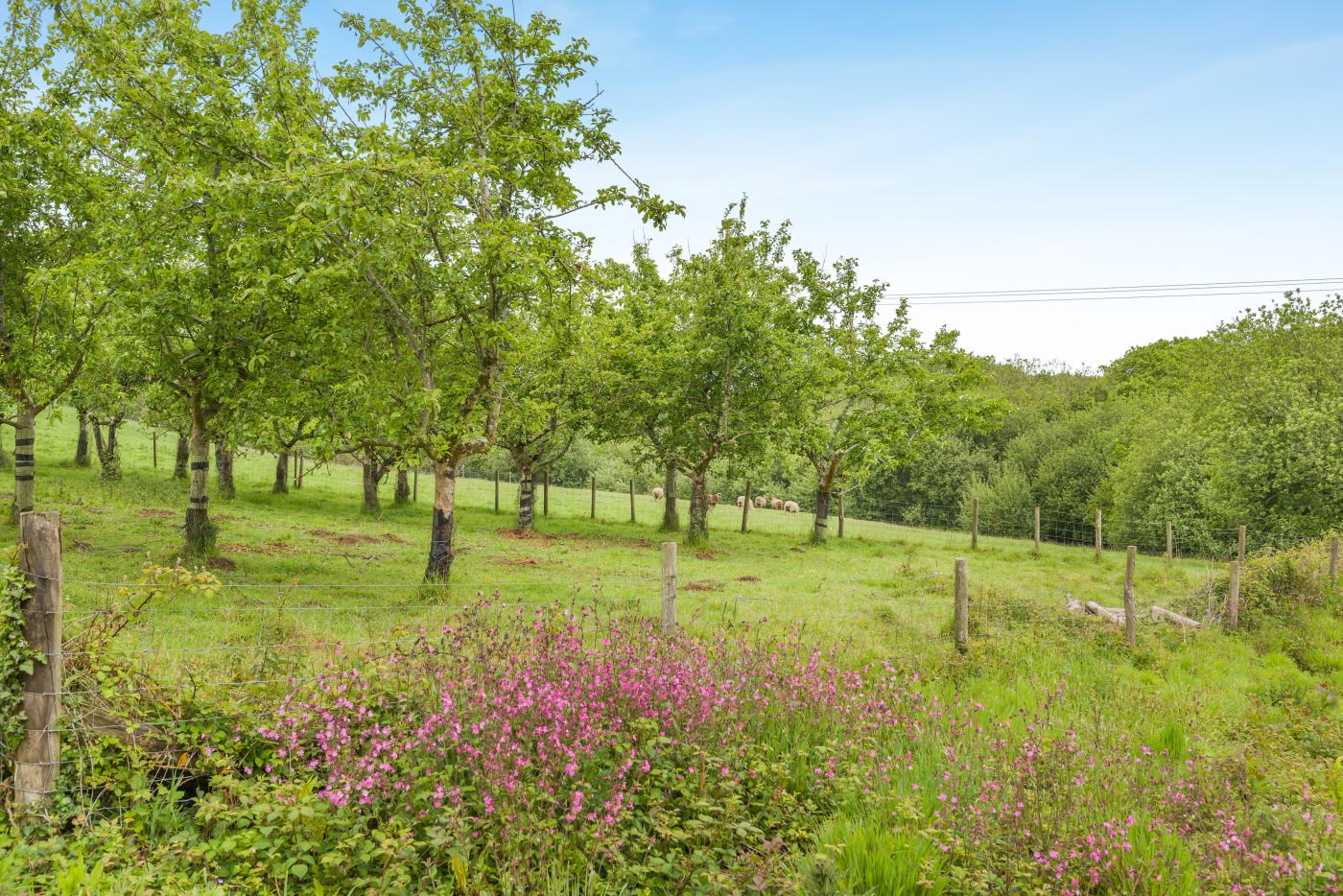Property image 22 for HC292639