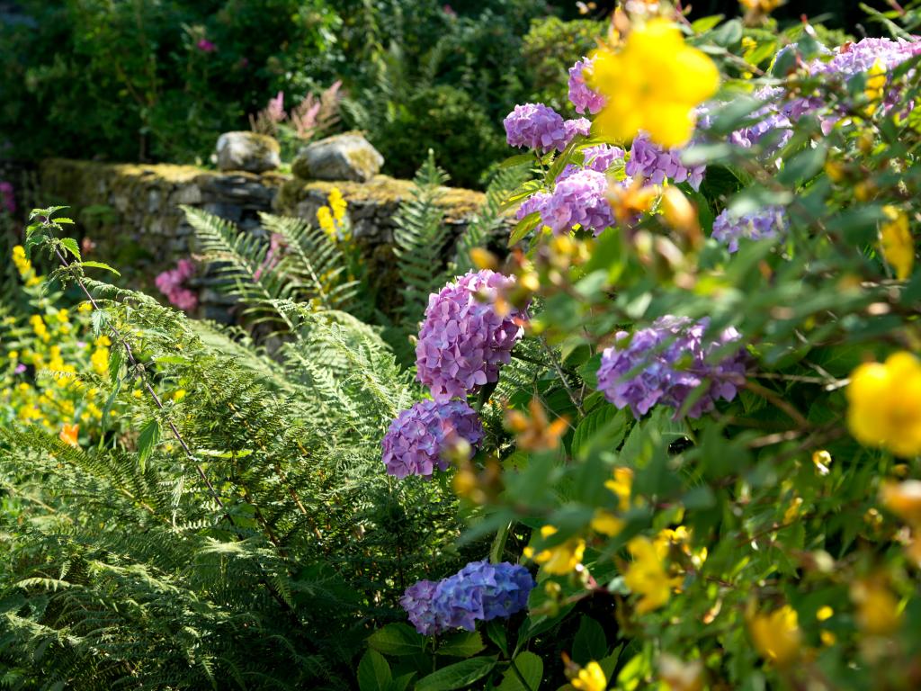Property image 16 for HC84206