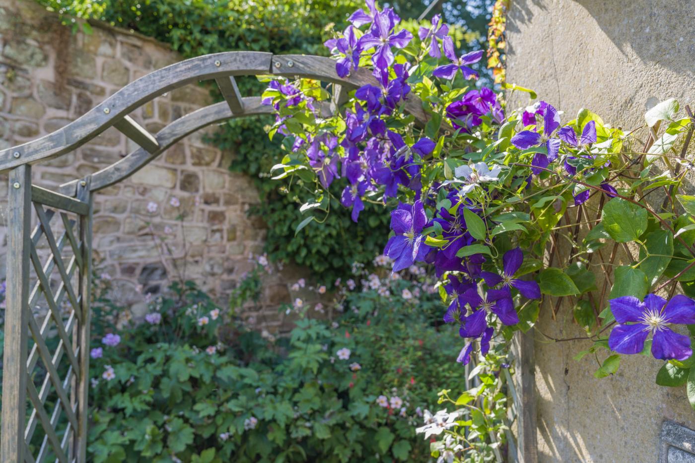 Property image 19 for HC295957
