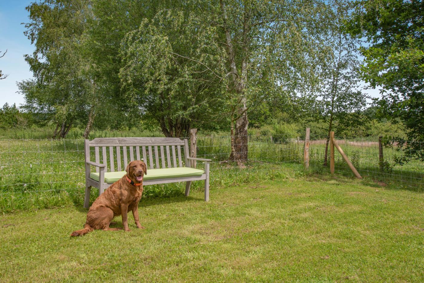 Property image 12 for HC292814