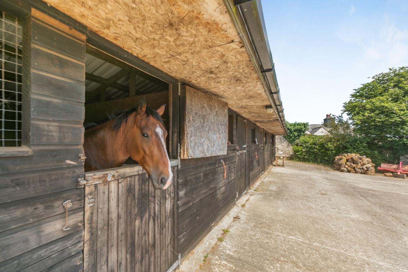 Property image 30 for HC278184