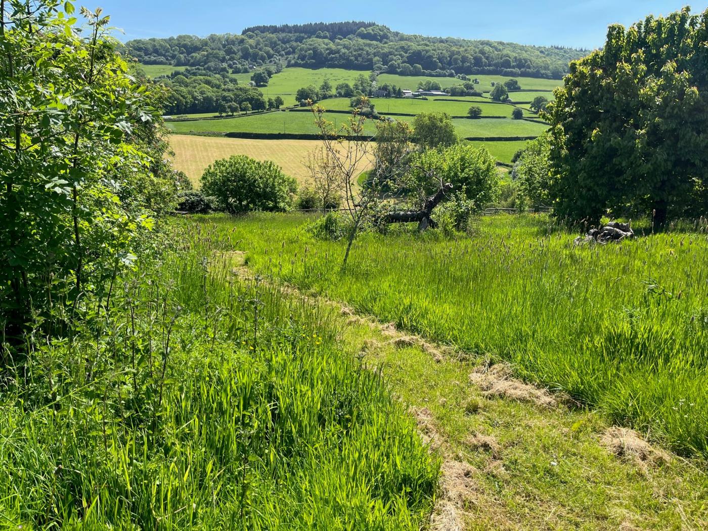 Property image 27 for HC54082