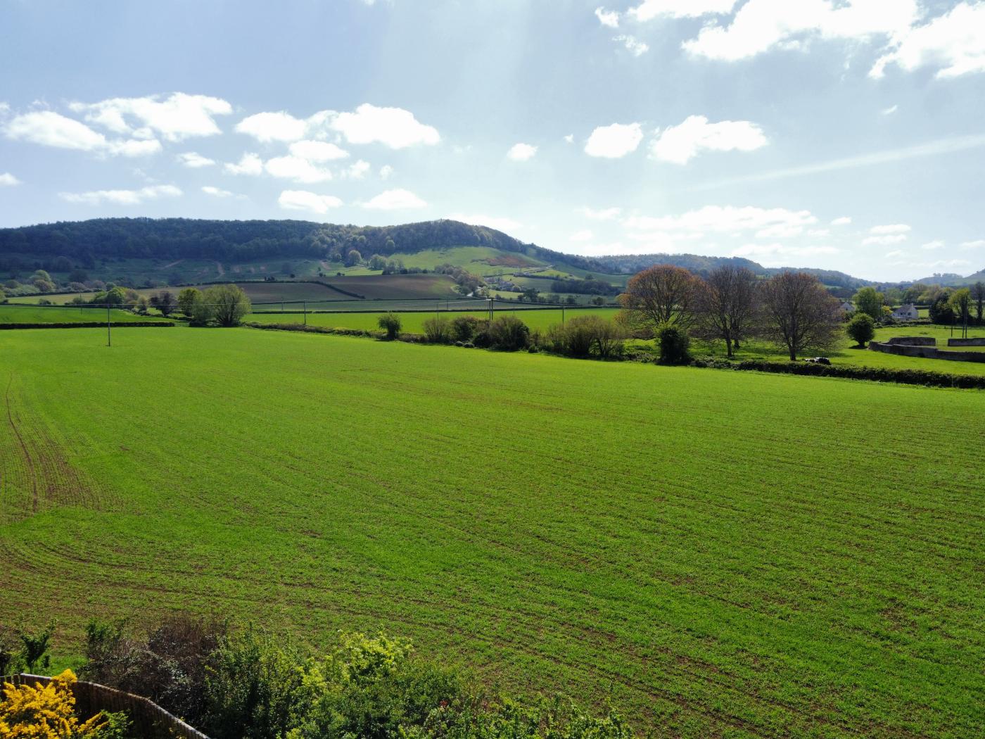 Property image 30 for HC292662