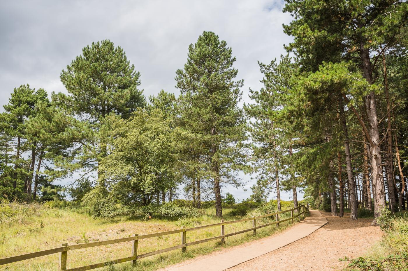Property image 6 for HC292475