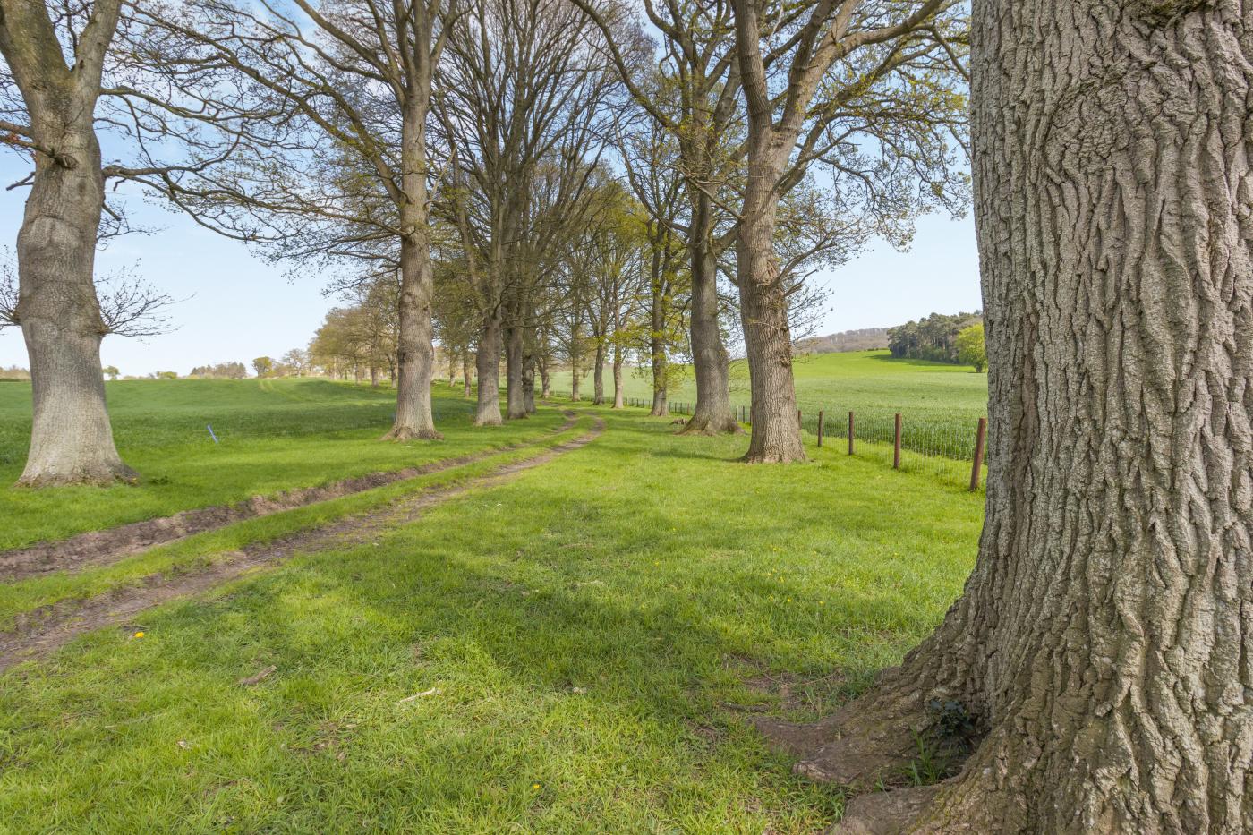 Property image 18 for HC79845