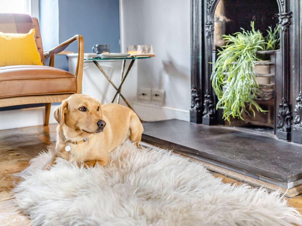 Holiday cottage in Greenodd, Cumbria
