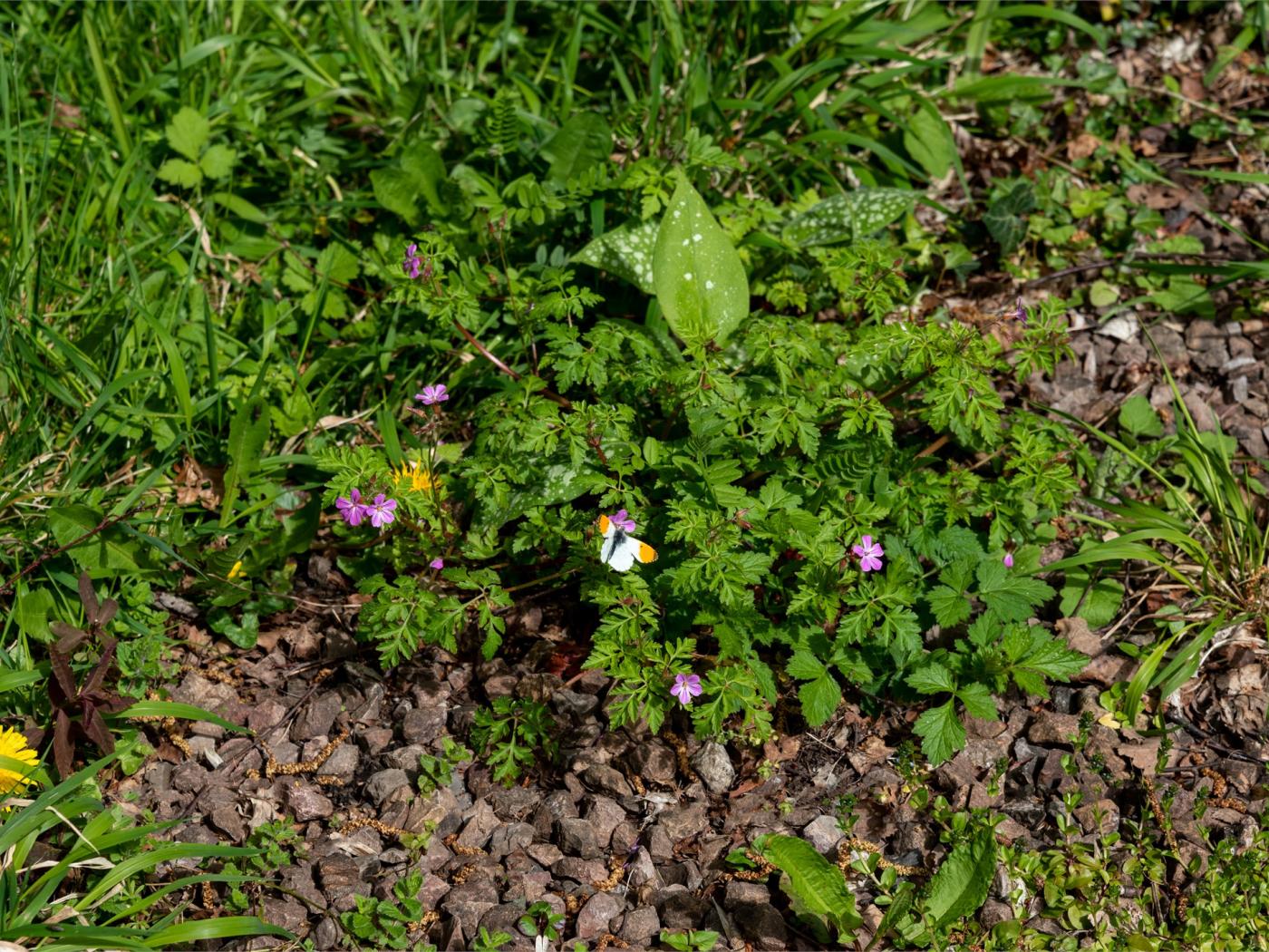 Property image 14 for HC79860