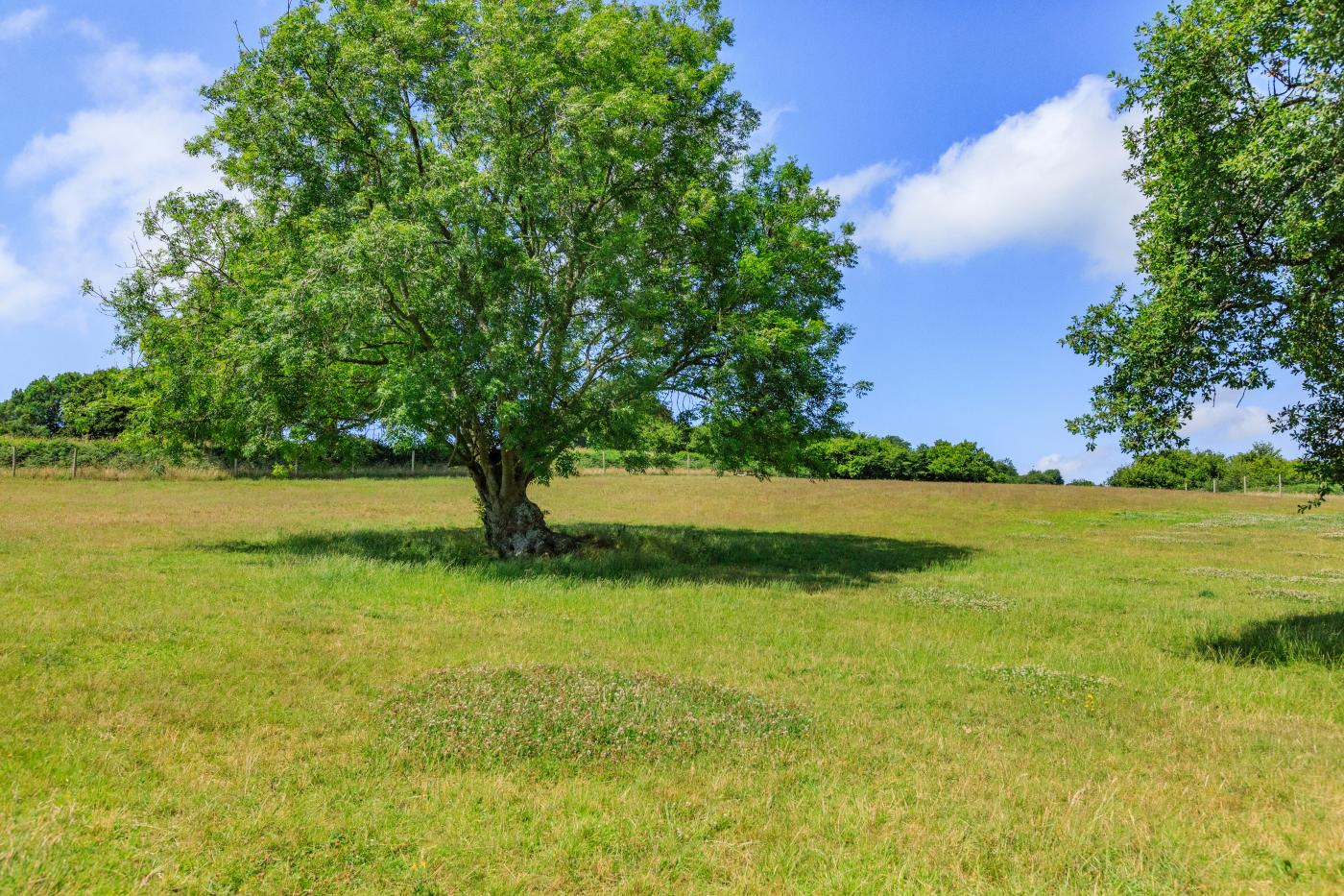 Property image 24 for HC281874