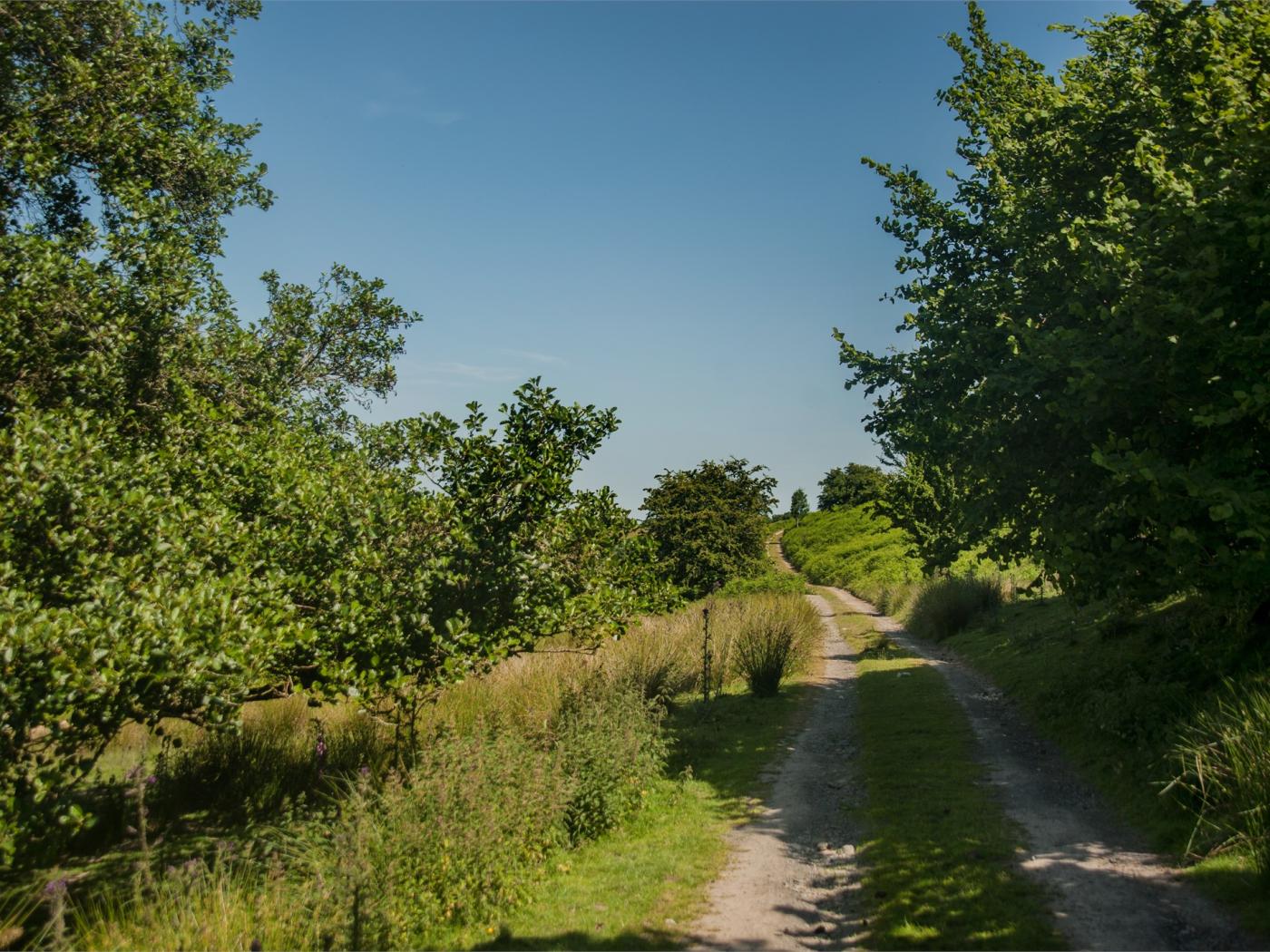Property image 9 for HC79962
