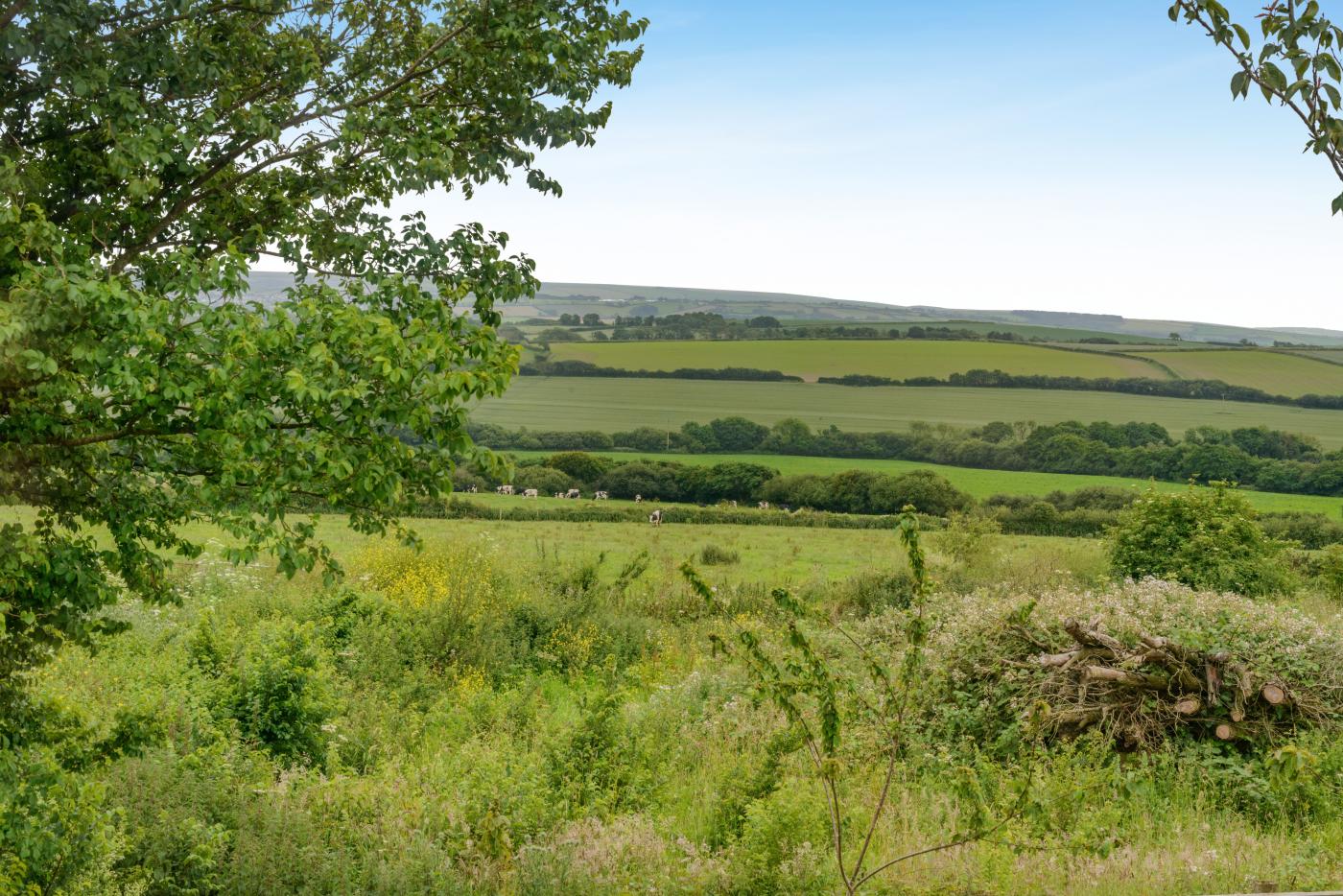 Property image 19 for HC292706