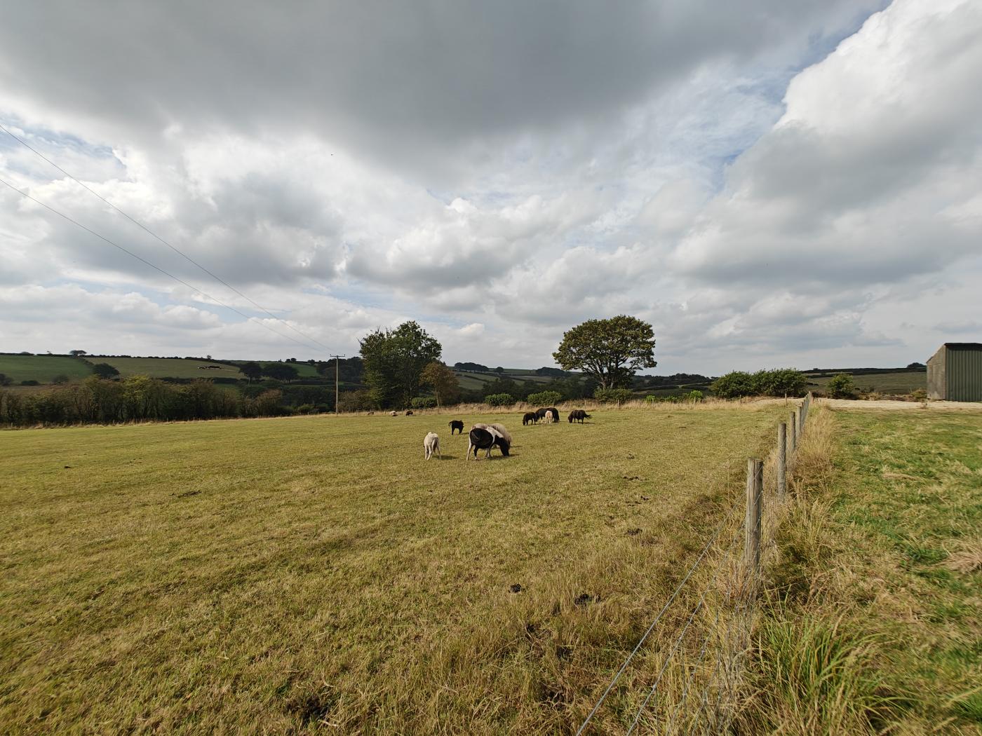 Property image 8 for HC296320