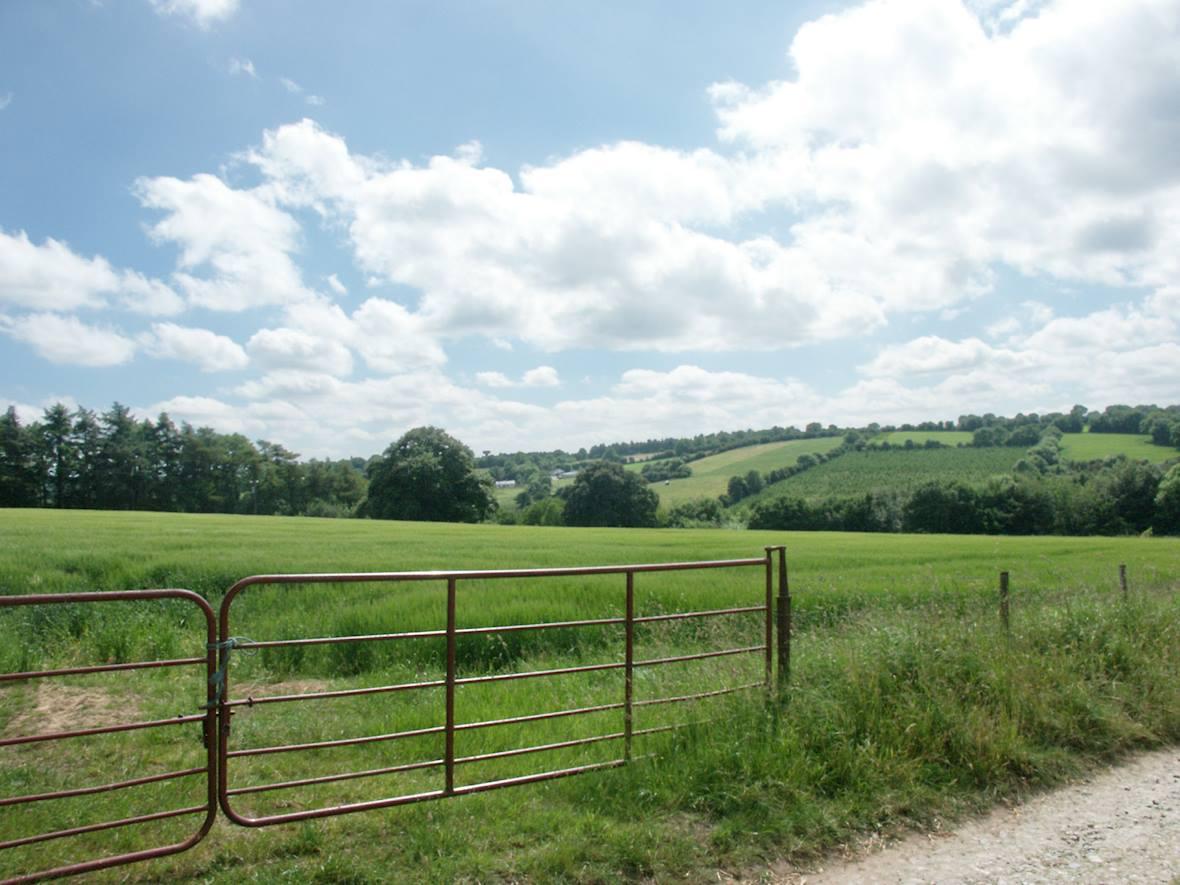 Property image 12 for HC278449