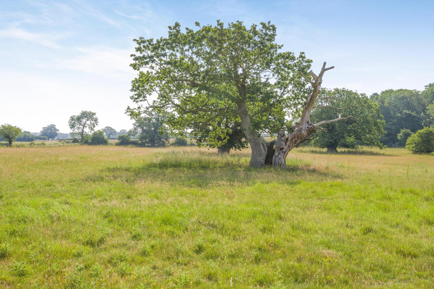 Property image 22 for HC294947