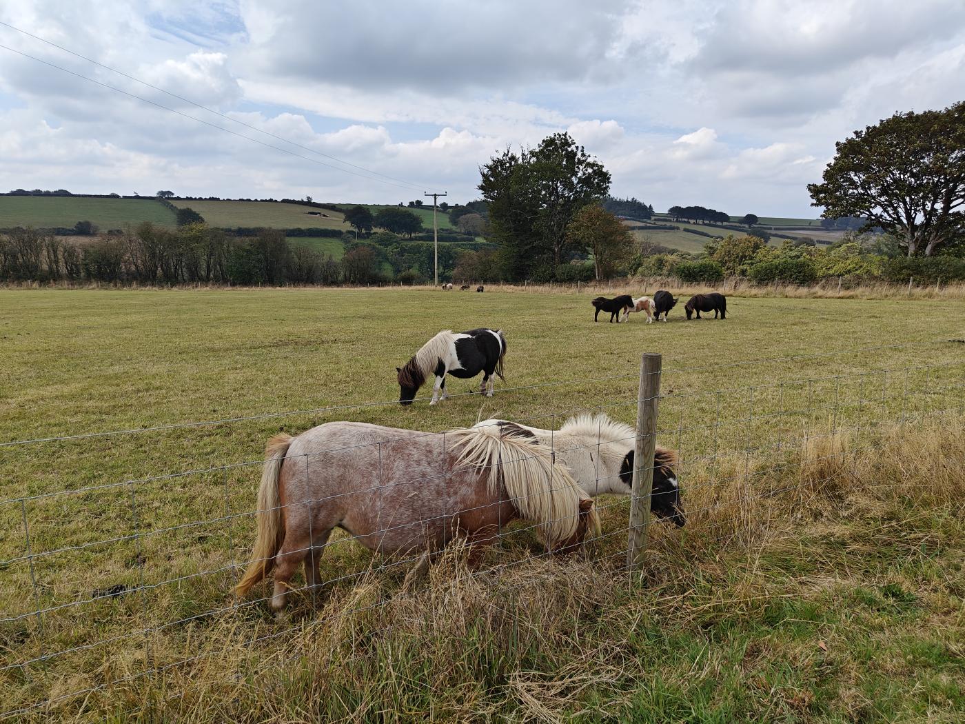 Property image 9 for HC296320