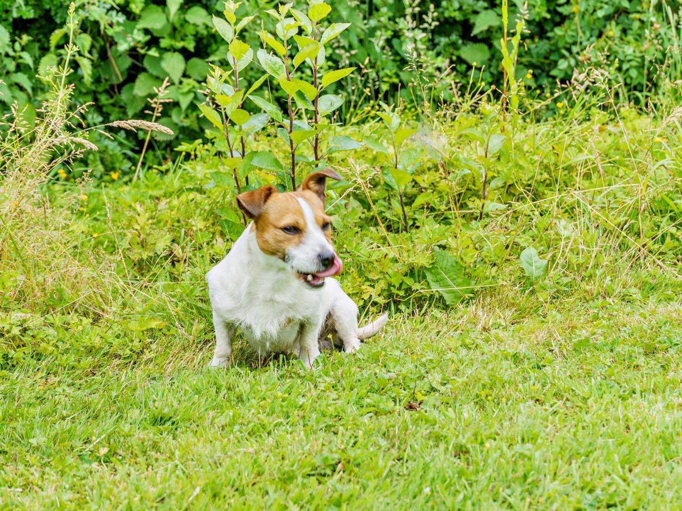 Property image 14 for HC42837