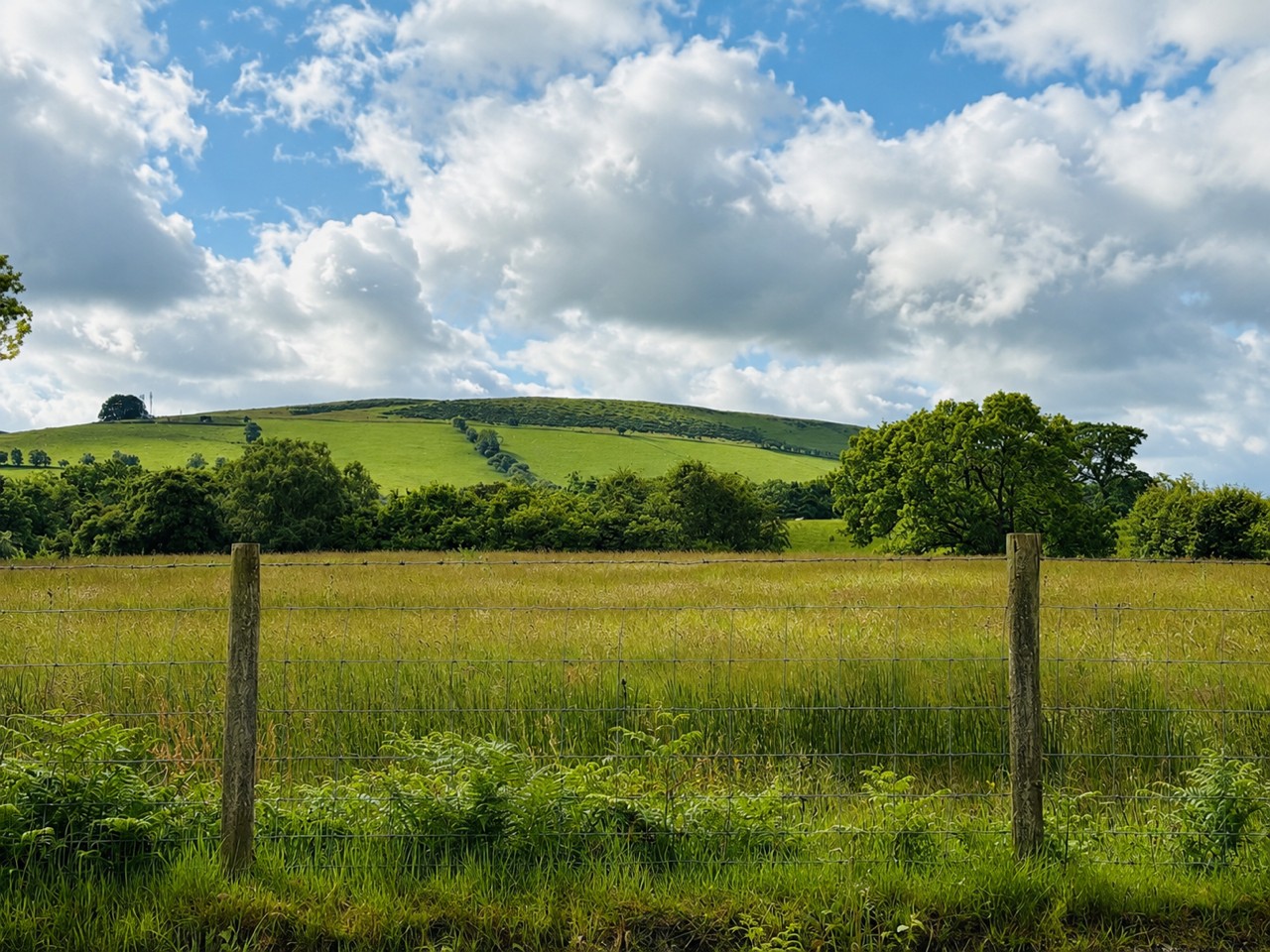 Property image 2 for HC282702