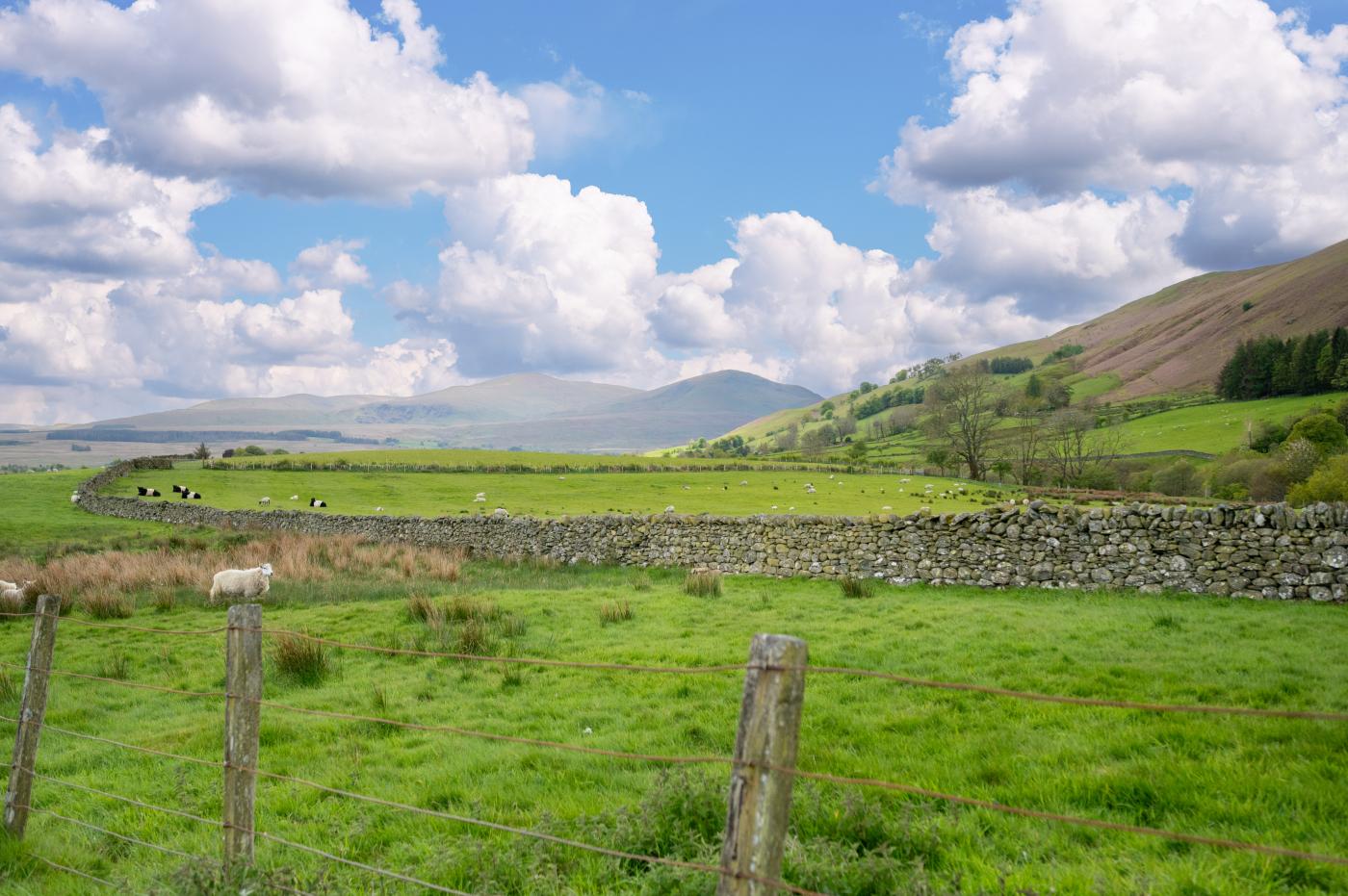 Property image 30 for HC287510