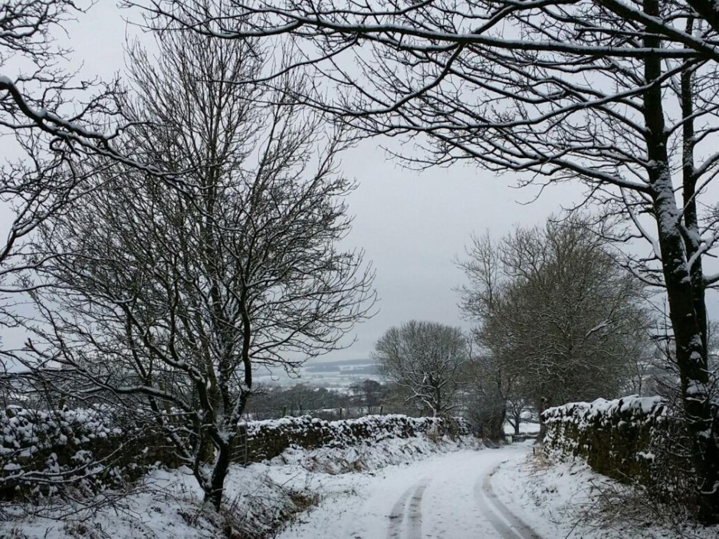 Property image 11 for HC90416