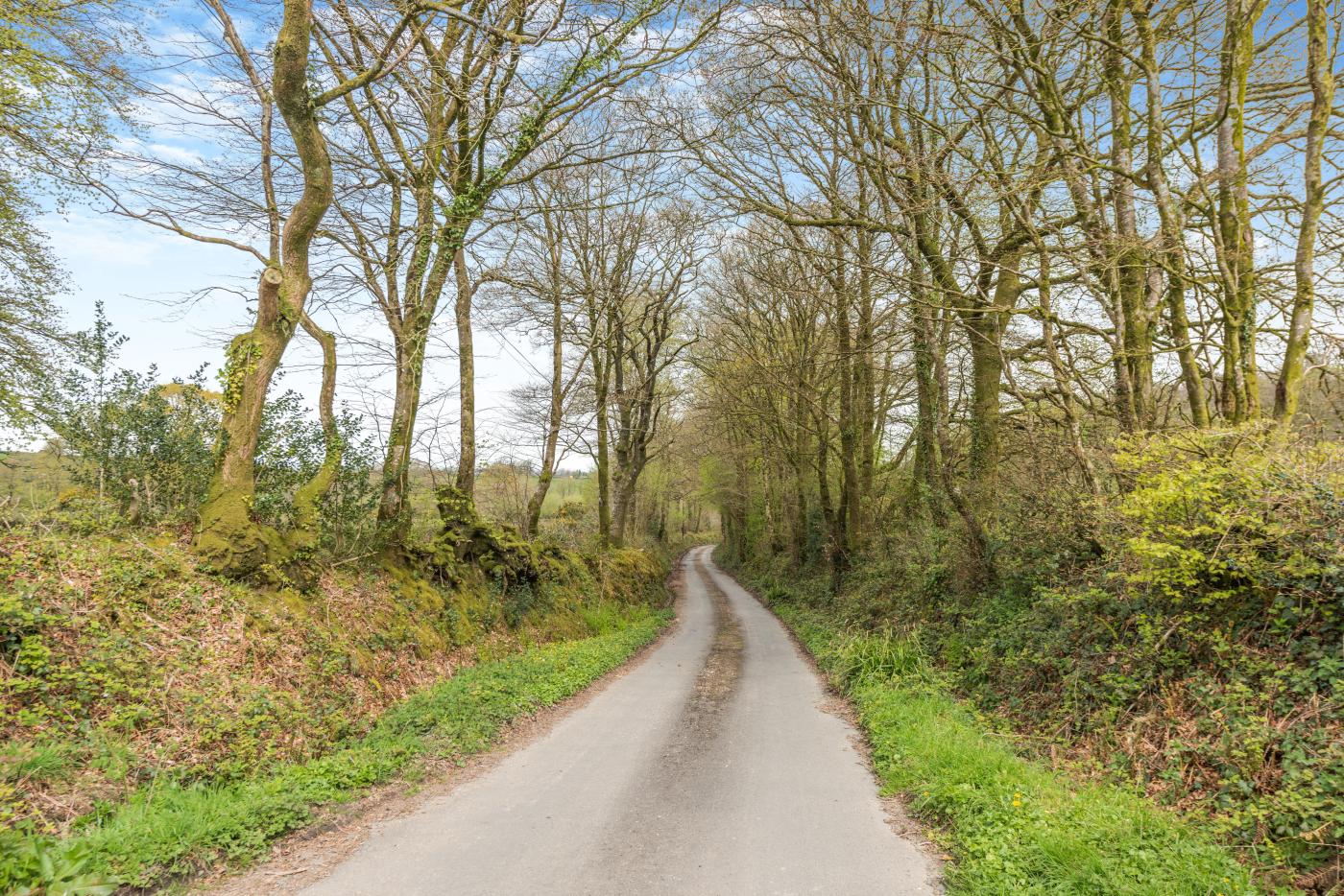 Property image 22 for HC279056