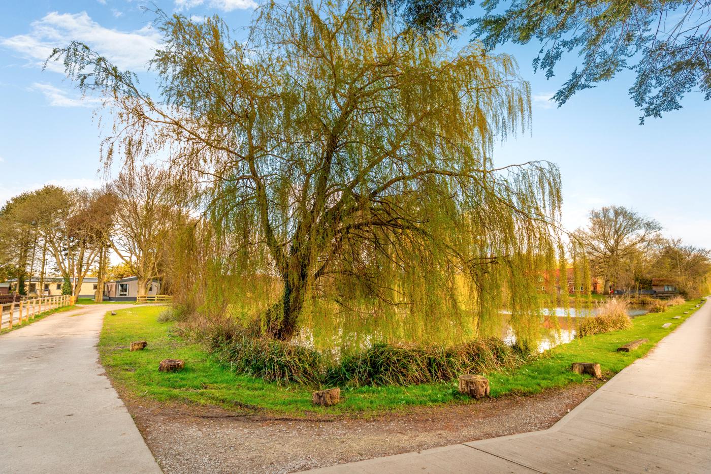Property image 25 for HC289067