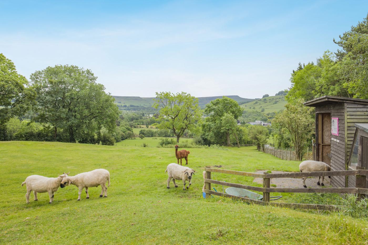 Property image 22 for HC293778