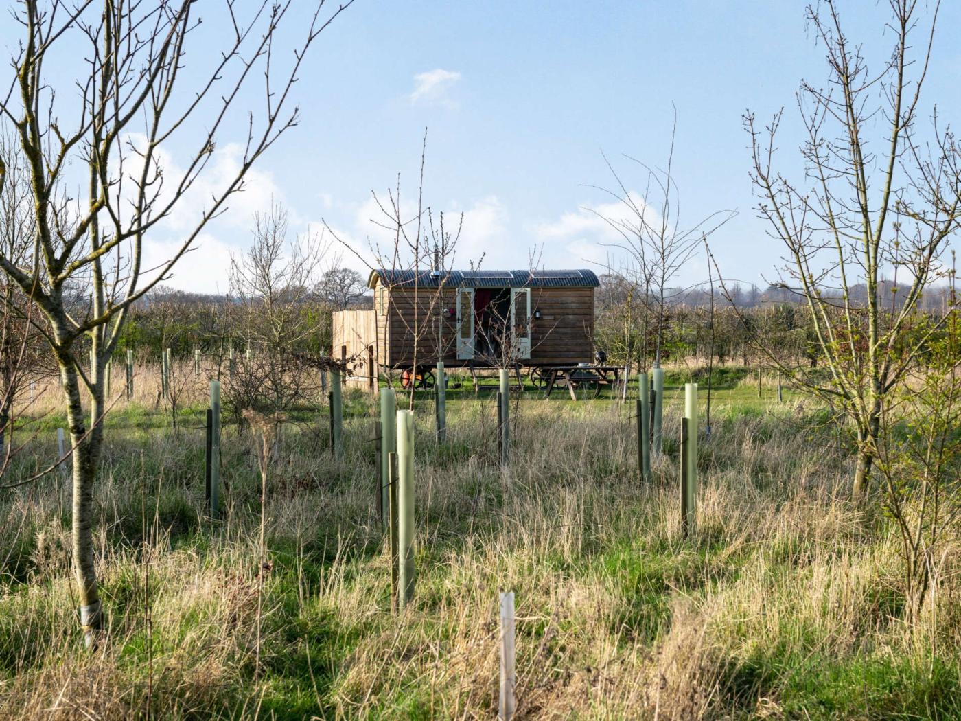 Property image 12 for HC87423