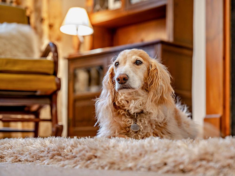 Holiday cottage in Matterdale, Cumbria