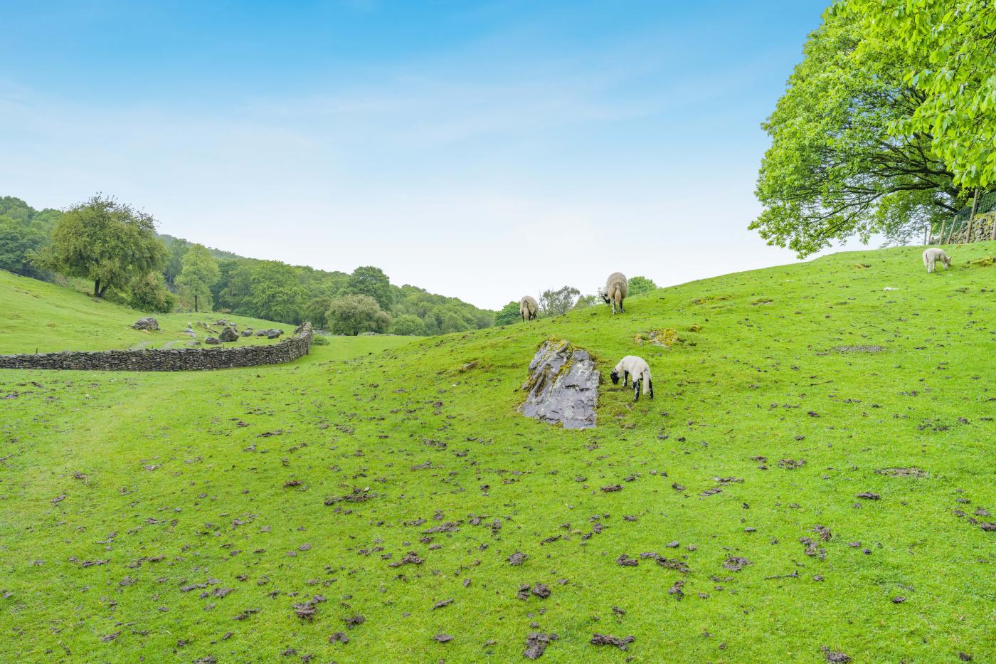 Property image 27 for HC292692