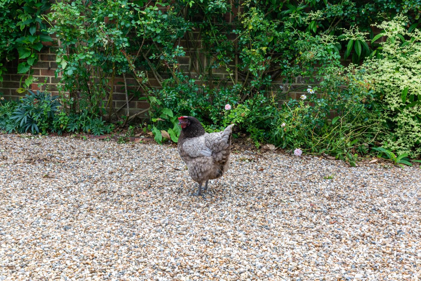 Property image 19 for HC254419