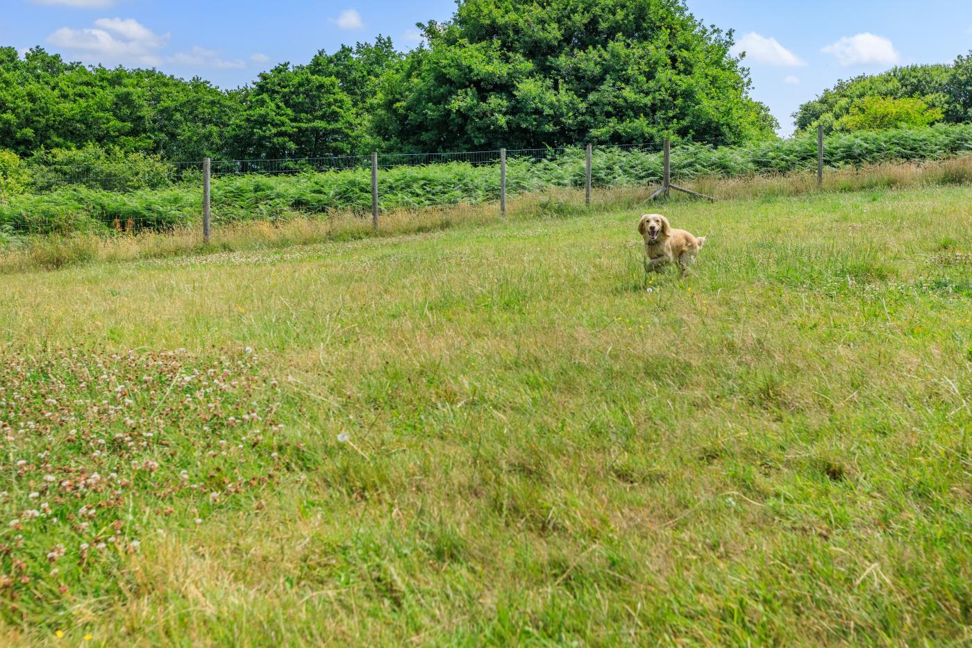 Property image 4 for HC281874