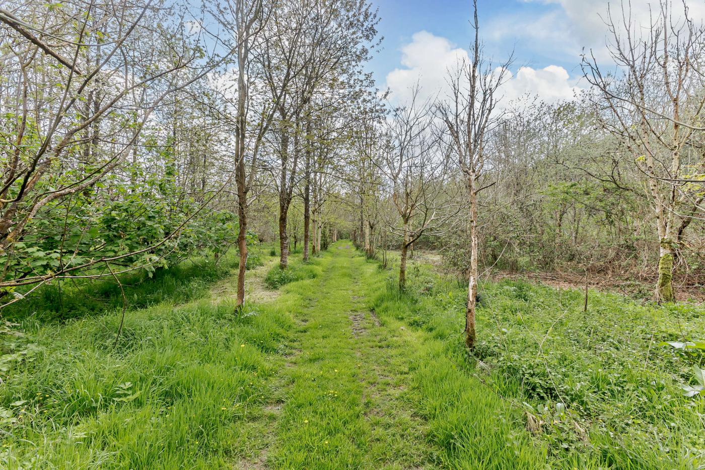 Property image 20 for HC277562