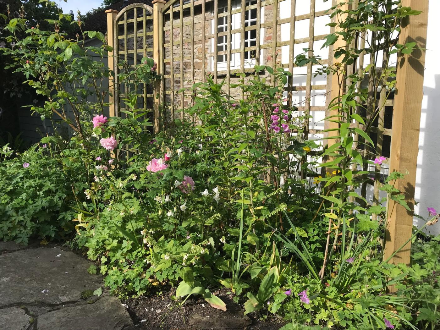 Property image 13 for HC293307
