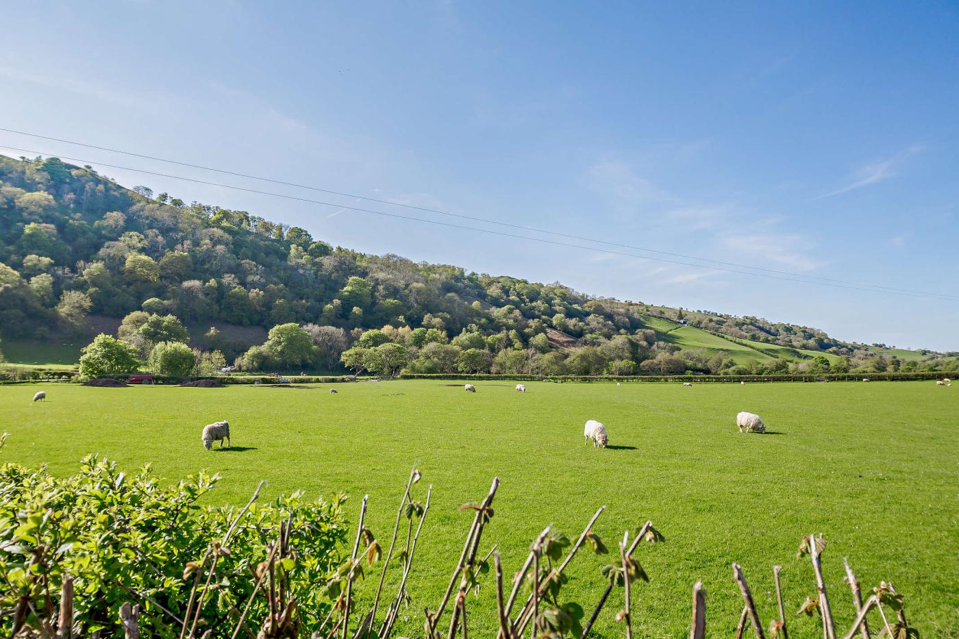 Property image 10 for HC256629