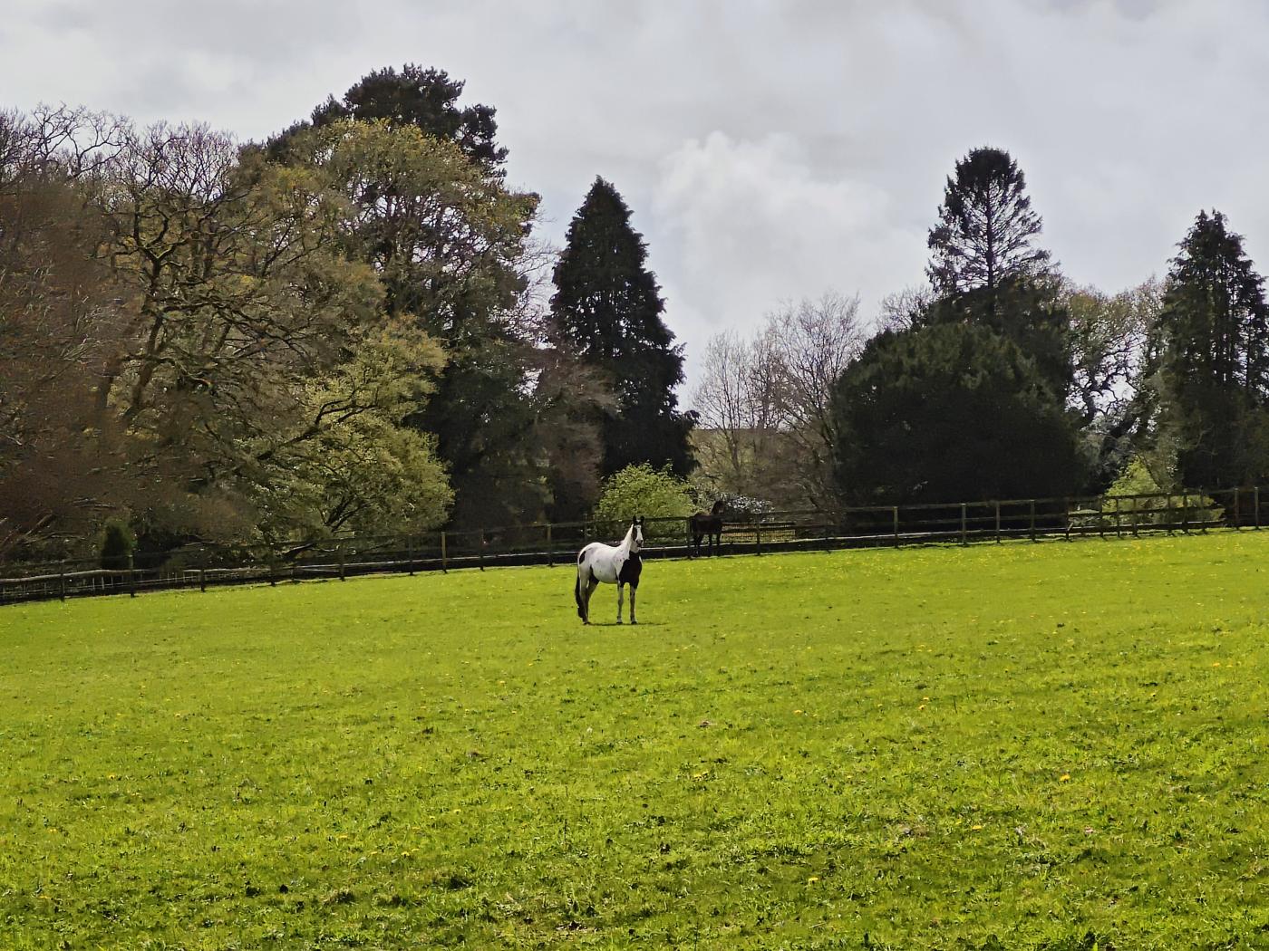 Property image 21 for HC290680