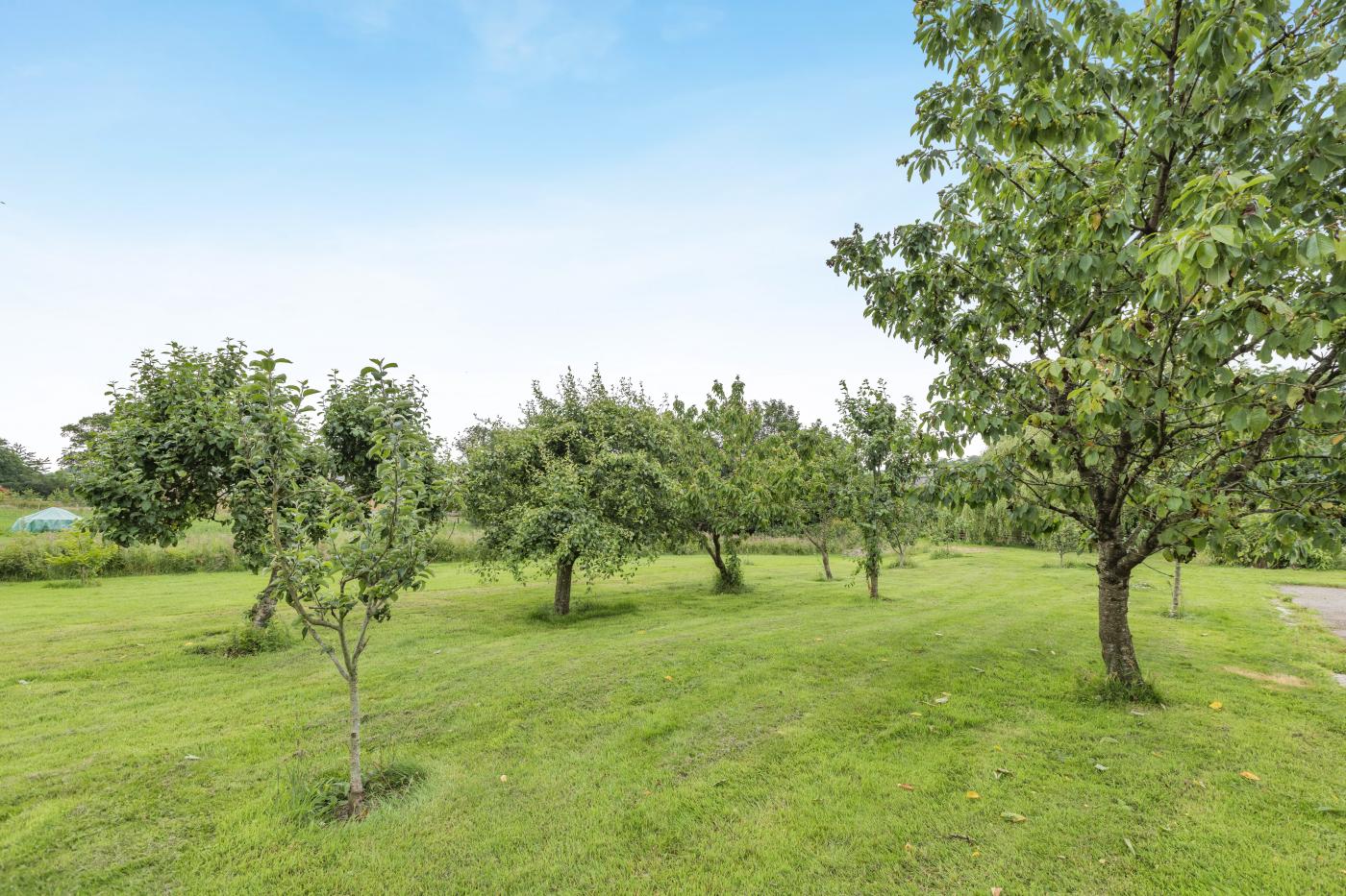 Property image 16 for HC285157