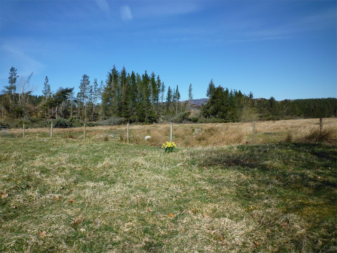 Property image 14 for HC76070