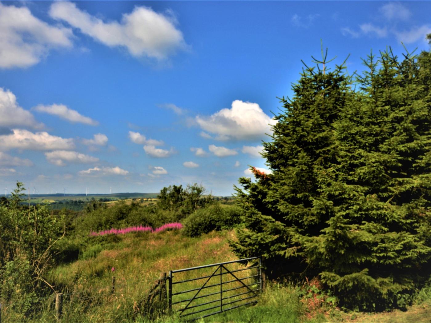 Property image 13 for HC55903
