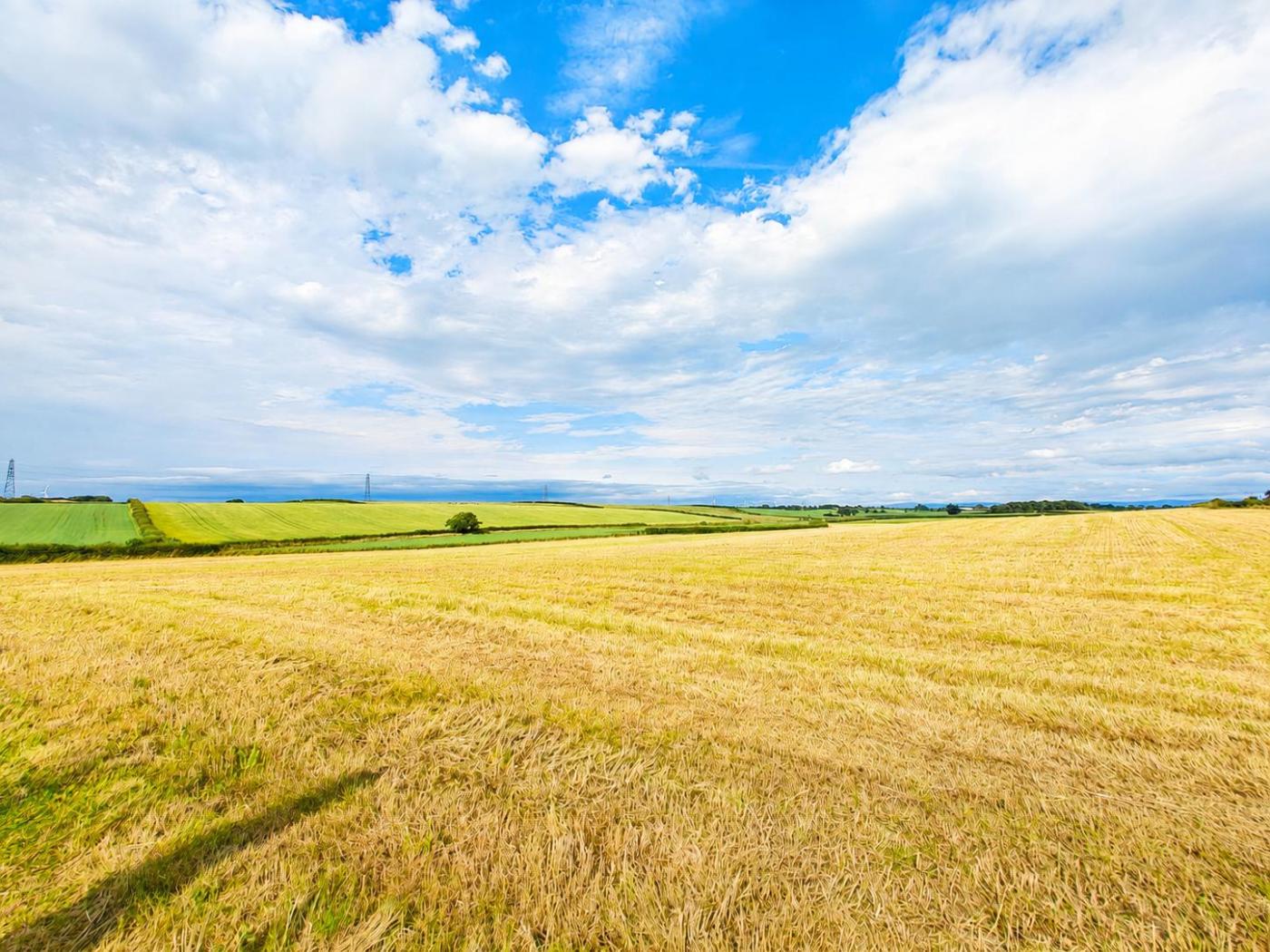 Property image 15 for HC295540