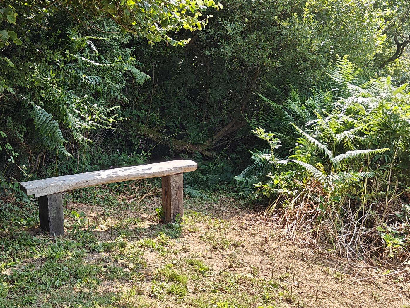 Property image 13 for HC295775