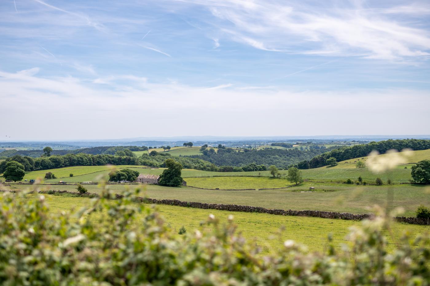 Property image 4 for HC276685