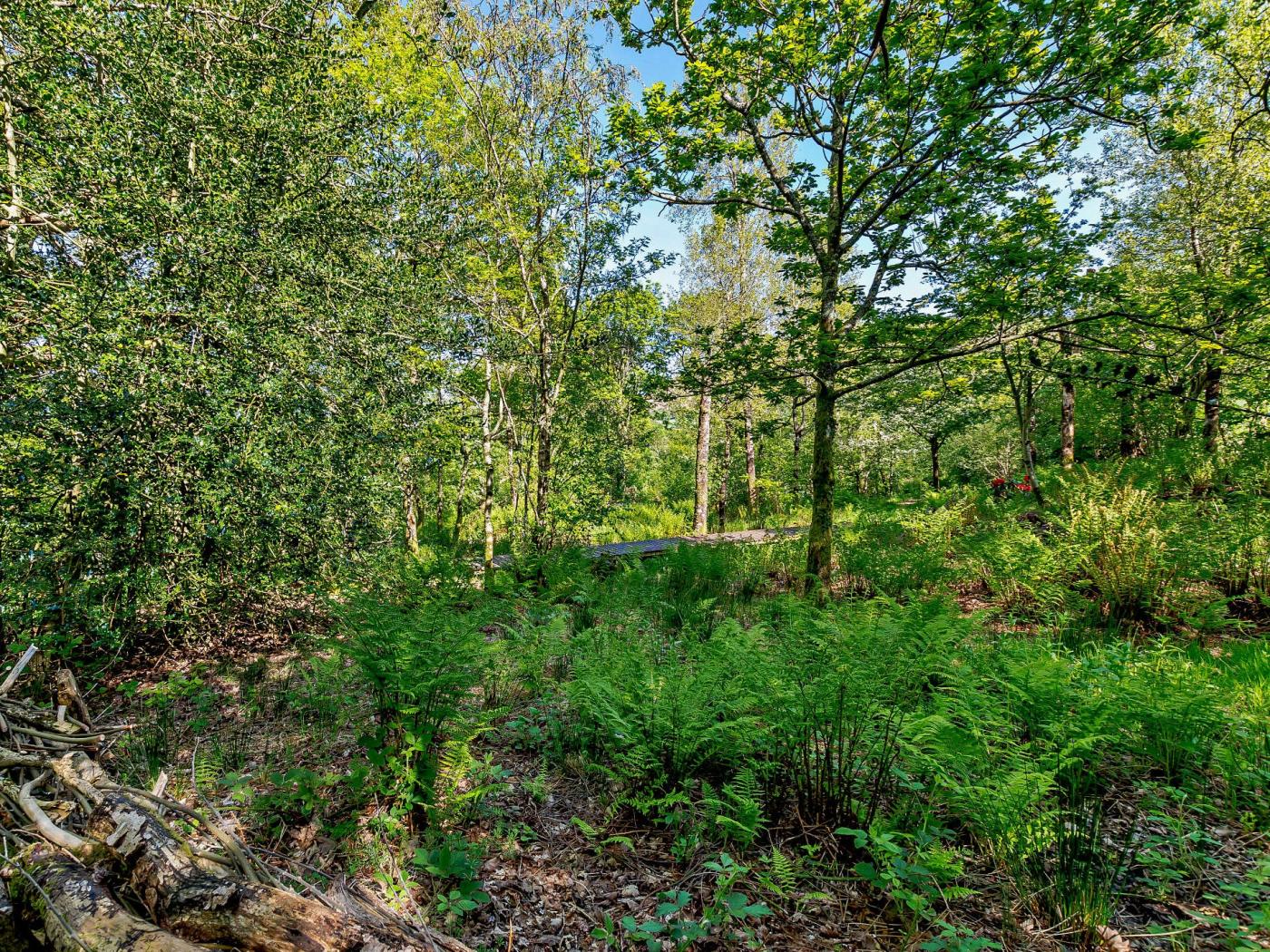 Property image 20 for HC84184