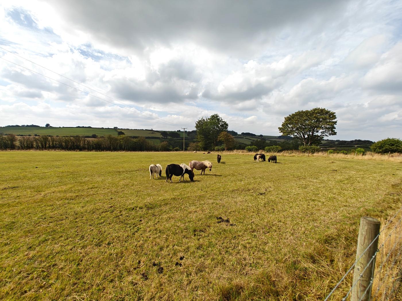 Property image 9 for HC296321