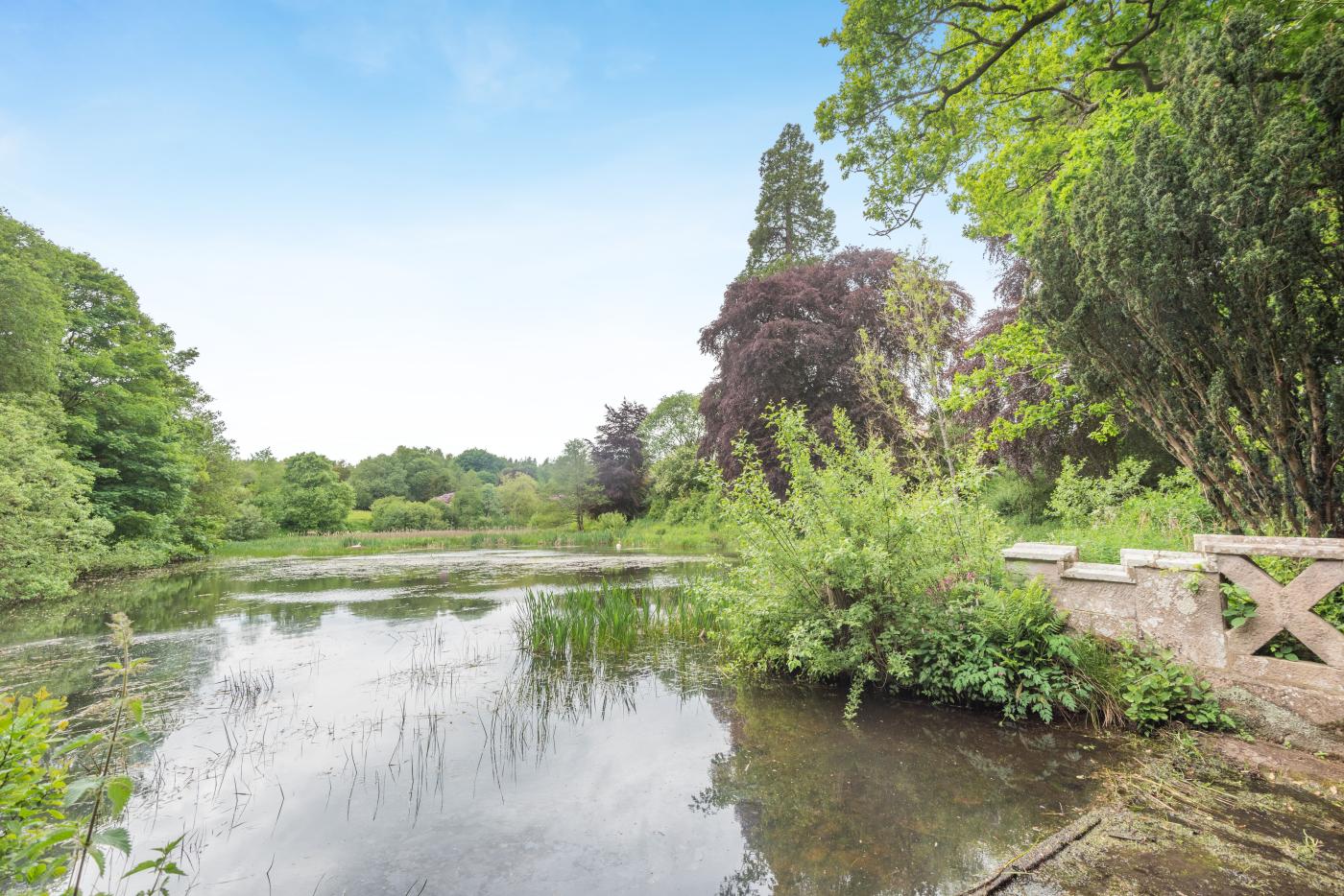 Property image 19 for HC294225